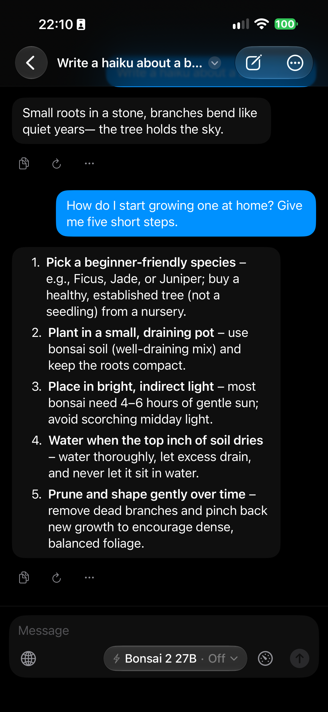 Um chat do Private LLM 2 em que Ternary Bonsai 2 27B responde a uma pergunta
