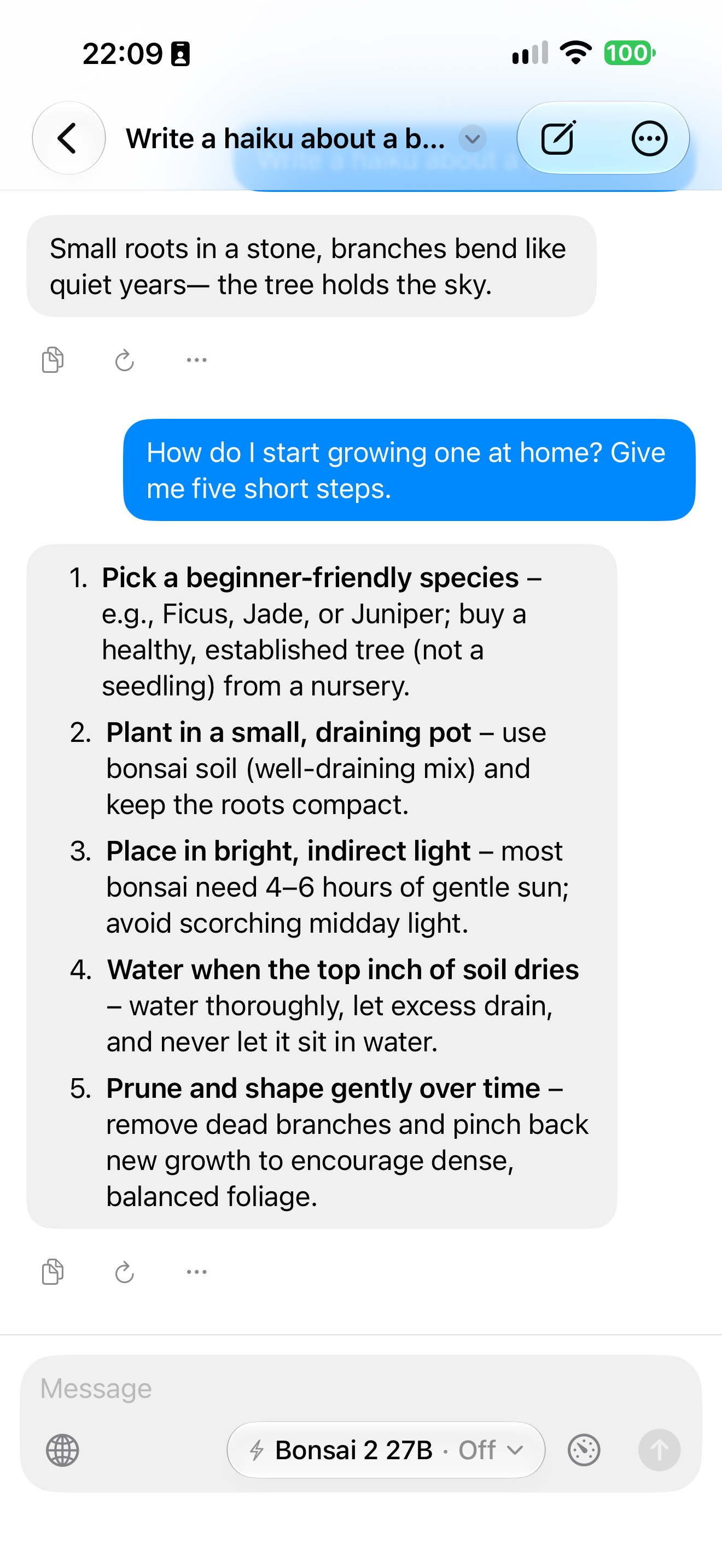 Um chat do Private LLM 2 em que Ternary Bonsai 2 27B responde a uma pergunta