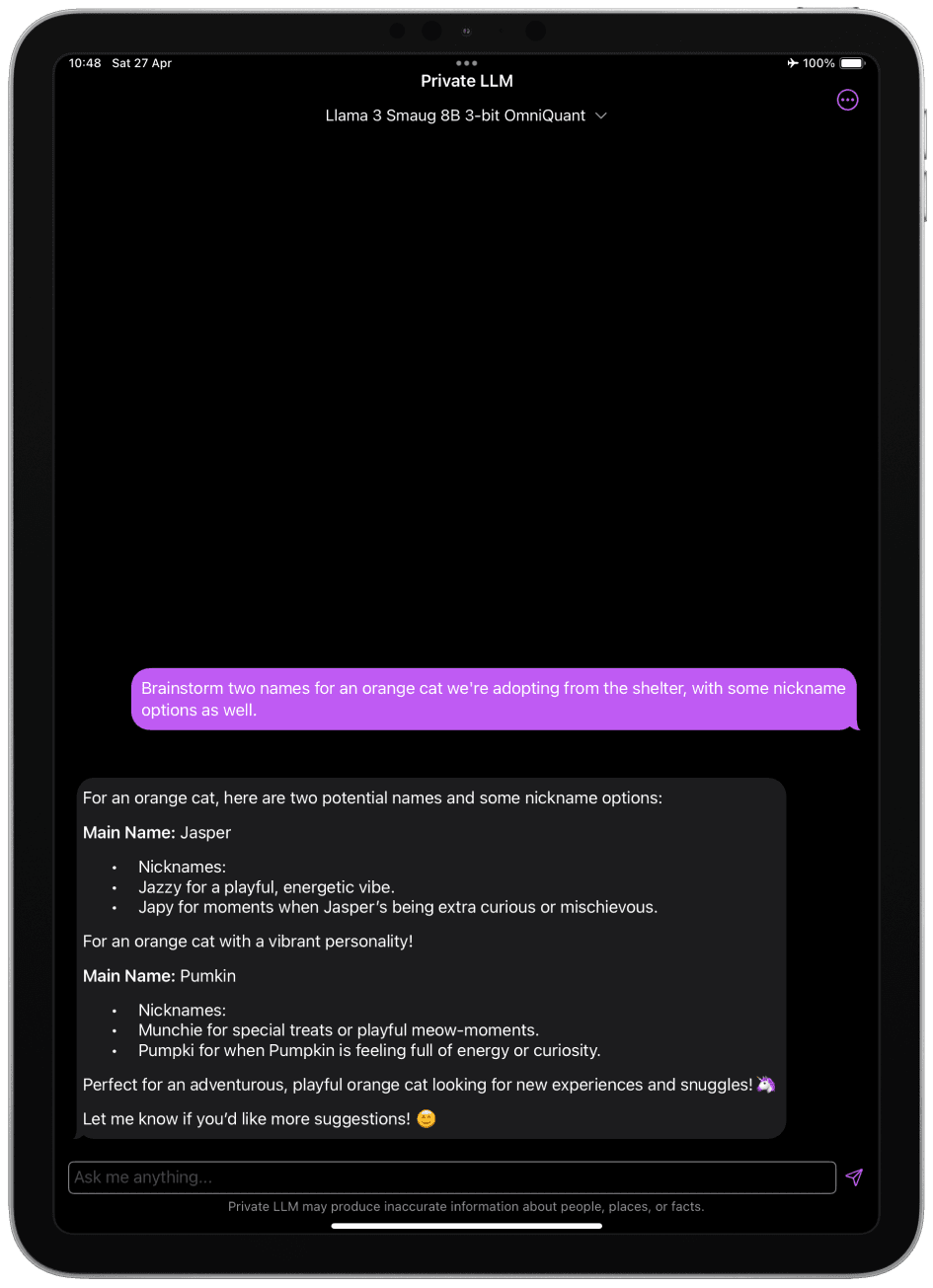 Screenshot of Llama 3 Smaug 8B Running on iPad
